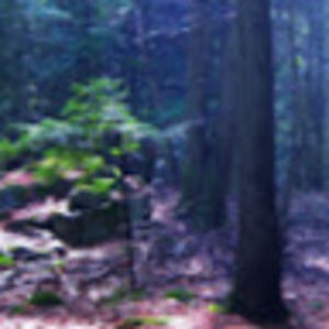 Meet your Posher, Fifi